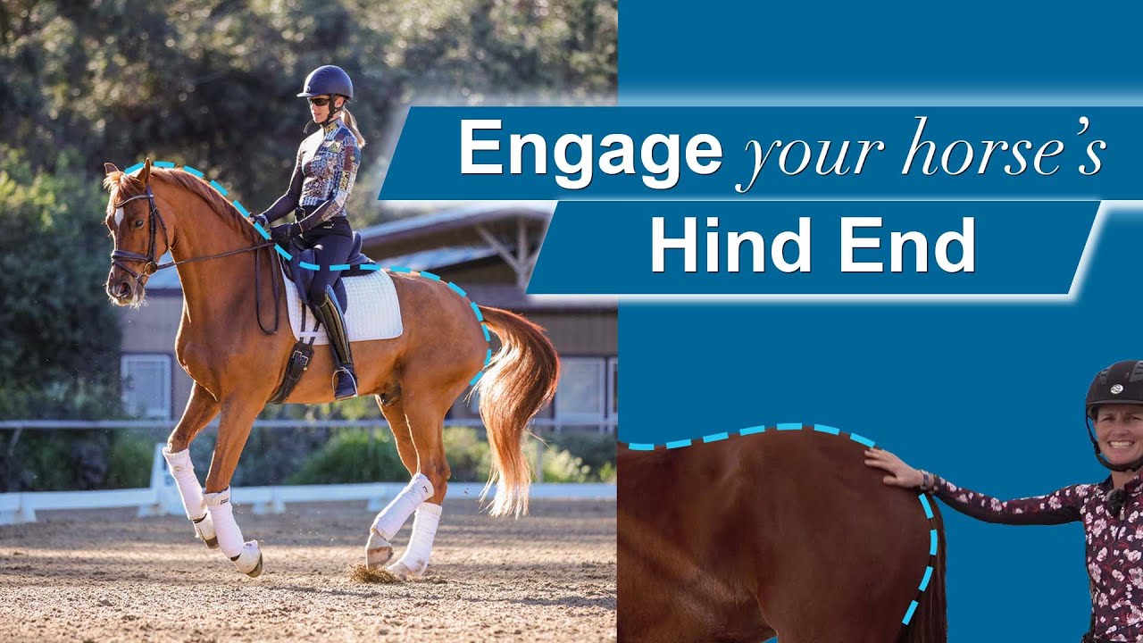 A rider on a chestnut horse is shown doing dressage, with a blue dashed line along the horse’s back and legs. A woman stands by the horse’s hind end, touching it. The text reads, “Engage your horse’s Hind End.”.