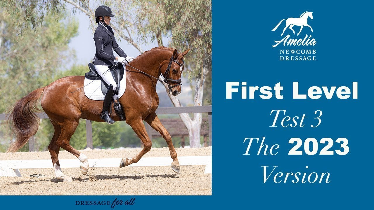 A rider in formal dressage attire guides a chestnut horse in an outdoor arena. Text reads: First Level Test 3 The 2023 Version with the Amelia Newcomb Dressage logo at the top right.