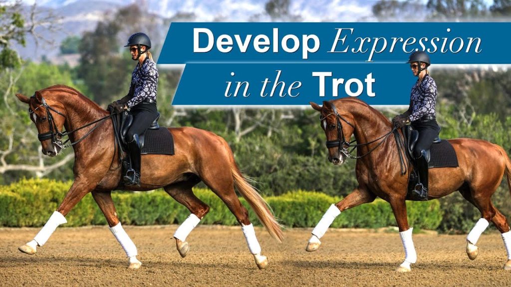 A rider on a chestnut horse performs a trot in an outdoor arena. Text reads: Develop Expression in the Trot. Both horse and rider wear dark tack, with the horse’s legs wrapped in white bandages, showcasing expert trot training.