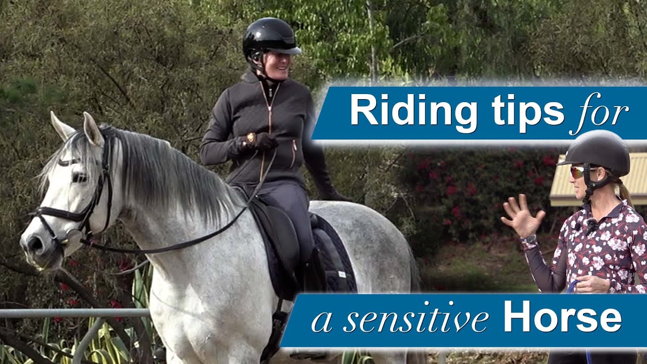Amelia rides a grey sensitive horse outdoors while another woman stands nearby, offering a riding lesson. Text on the image reads: Riding tips for a sensitive horse.