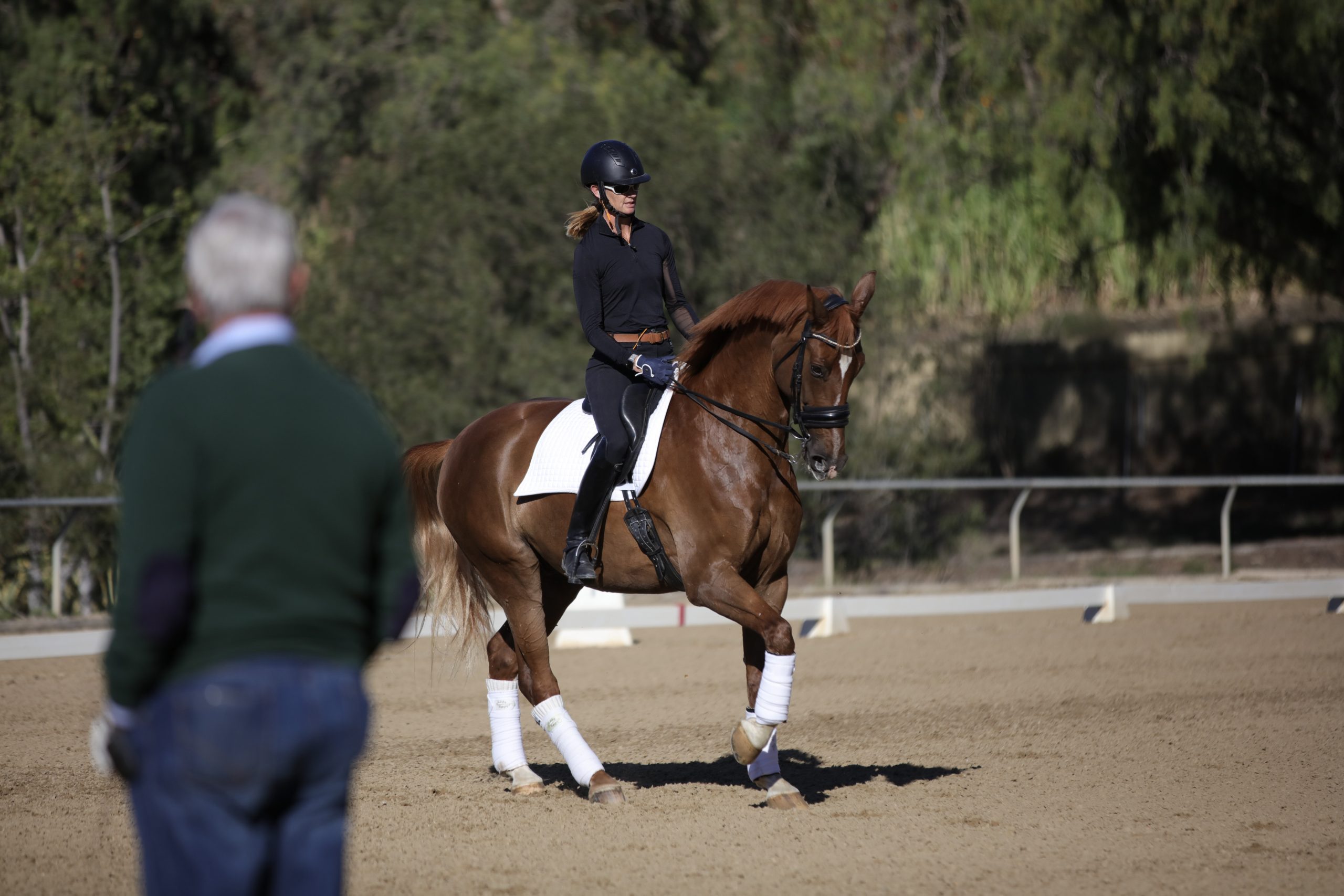 A person in black riding attire and helmet is performing dressage on a chestnut horse in an outdoor arena, demonstrating principles of the Training Scale, while another person in a green sweater observes. Trees are visible in the background.