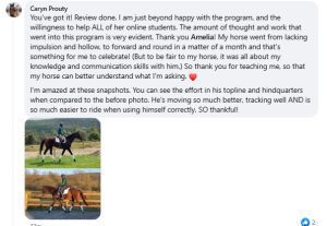 A Facebook comment by Caryn Prouty praising an online horse training program, describing her horse’s improvement, and sharing two side-by-side photos created with Elementor’s Loop Item: before and after the training.