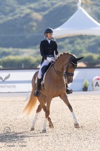 A rider in formal equestrian attire guides a chestnut horse in a dressage arena, showcasing masterclass training. The background features a white tent, greenery, and a sunny, outdoor setting.