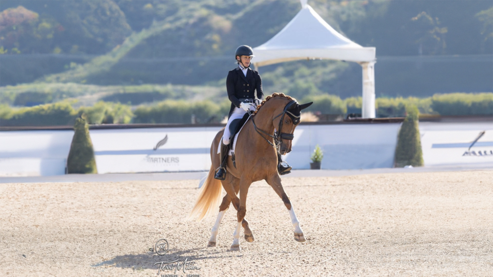 A rider in formal dressage attire guides a chestnut horse through a precise movement in an outdoor arena, with greenery and a white event tent nearby during a Free Training session.