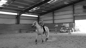 A person wearing a helmet rides a white horse inside an indoor arena with a sandy floor. Sunlight streams in through open panels while a vehicle is visible in the background during a Training Scale Masterclass.