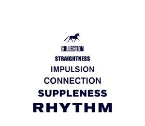 A pyramid diagram with a horse icon on top illustrates the Training Scale Masterclass: Collection, Straightness, Impulsion, Connection, Suppleness, and Rhythm (boldest at the base).