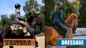 Split image: Left shows a rider in Western Style attire on a dark horse with a Western saddle. Right features dressage attire on a chestnut horse with an English saddle. Text: DRESSAGE and WESTERN.