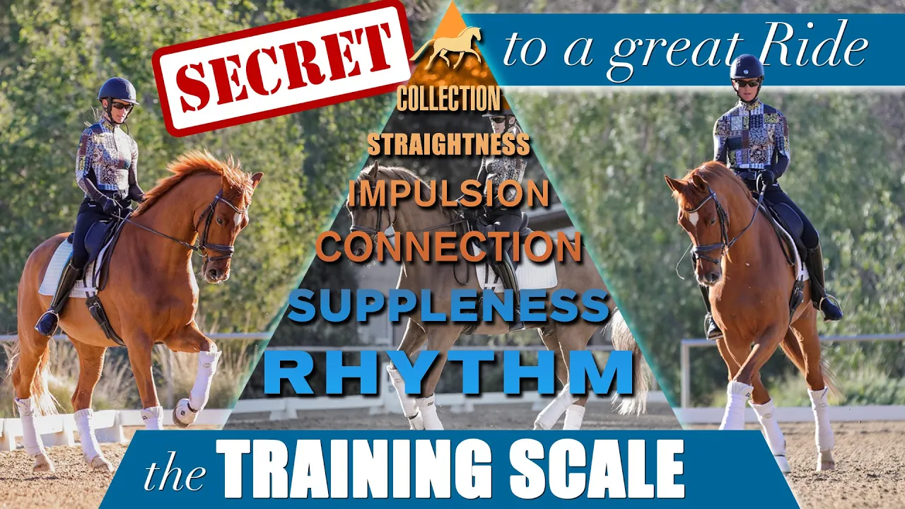 Two riders on chestnut horses perform dressage under the words: SECRET to a great ride. A pyramid shows the Dressage Training Scale, reminding you to plan your ride and master rhythm, suppleness, connection, impulsion, straightness, and collection.