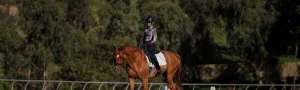 A person wearing a helmet and patterned shirt rides a chestnut horse in an outdoor arena, surrounded by trees and greenery under natural daylight.
