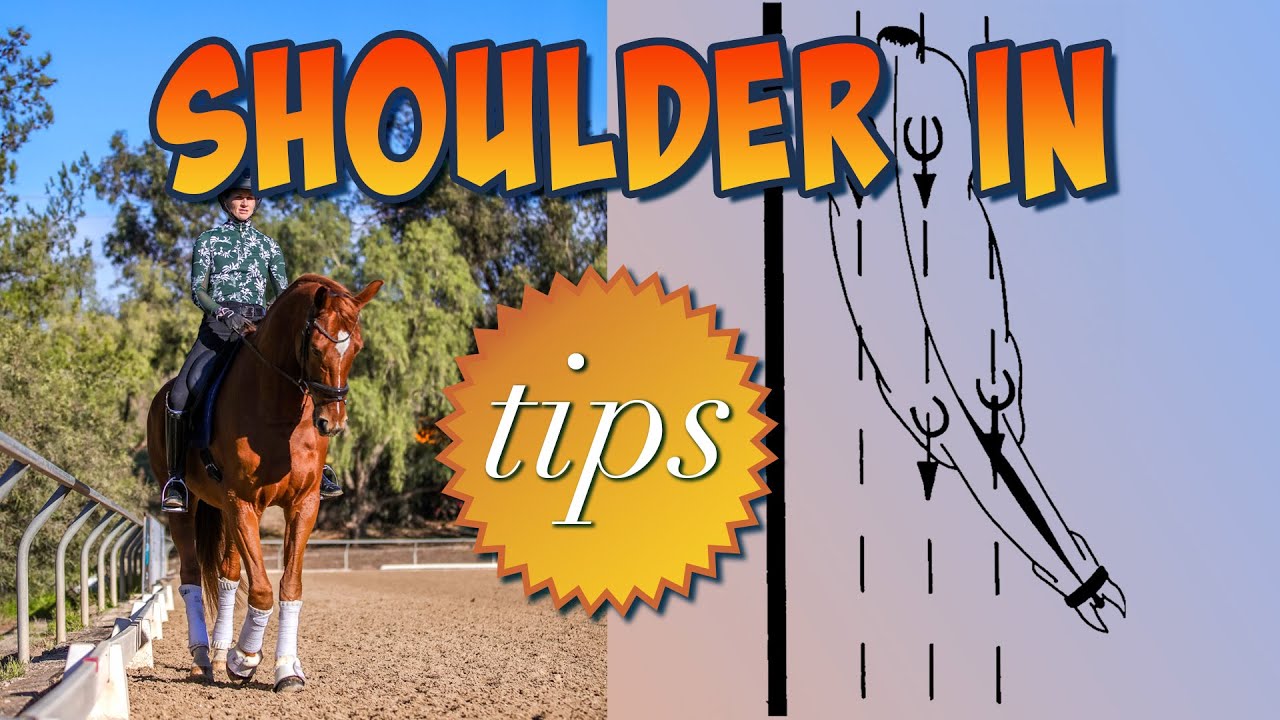A rider on a chestnut horse performs dressage in an outdoor arena. Large text reads SHOULDER IN tips, perfect for horse training. On the right, a diagram shows a horse’s shoulder-in movement along parallel lines. Trees can be seen in the background.