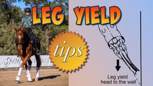 A rider on a horse performs a leg yield; large text reads LEG YIELD tips. On the right, a diagram titled Leg yield head to the wall shows this dressage horse training exercise with the horse moving sideways along a wall.
