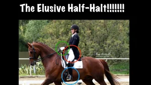 A dressage rider in a black outfit and helmet sits on a chestnut horse. Colorful circles highlight horse riding techniques: the rider’s hands, legs, and the horse’s mouth. Large text at the top reads, The Elusive Half-Halt!!!!!!!.