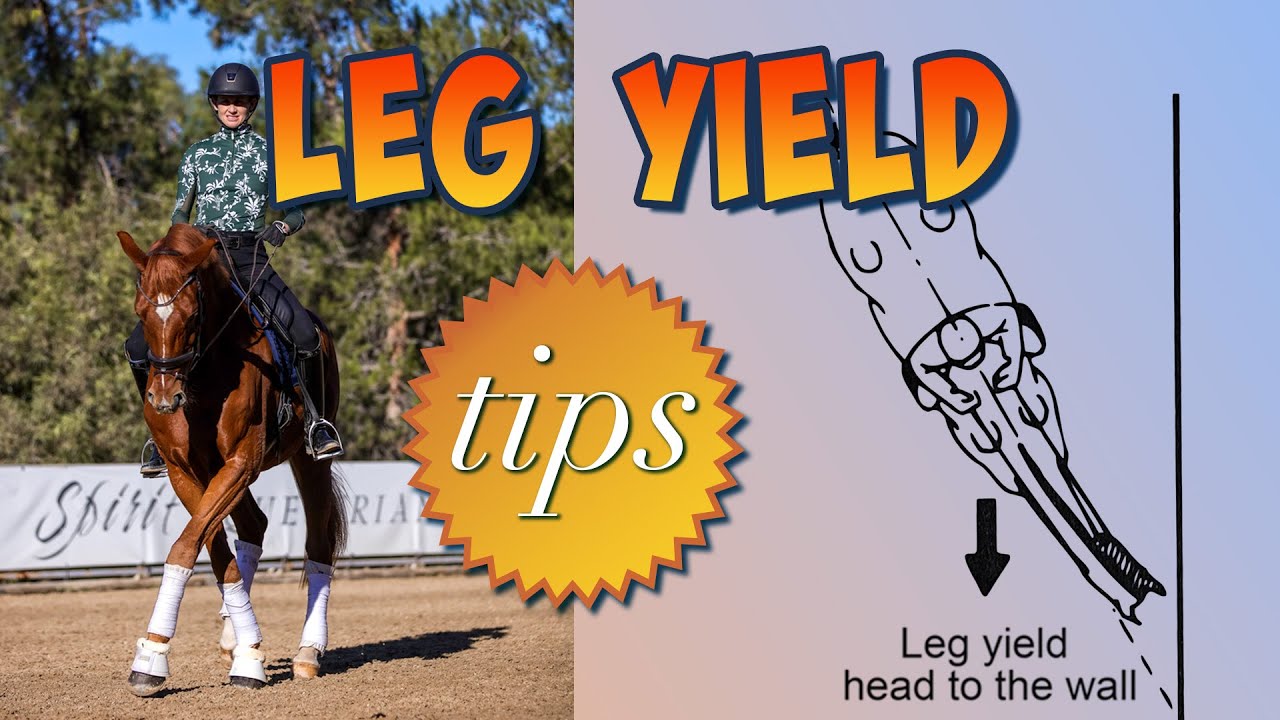 A rider on a horse performs a leg yield; large text reads LEG YIELD tips. On the right, a diagram titled Leg yield head to the wall shows this dressage horse training exercise with the horse moving sideways along a wall.
