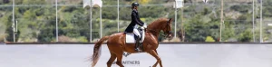 A rider dressed in formal equestrian attire showcases advanced dressage training, guiding a chestnut horse with precision in an outdoor arena set against a natural, green background.