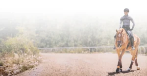 A person wearing a helmet and patterned shirt rides a brown horse on a dirt path, greenery and a metal guardrail in the background. The image, with its bright, faded effect at the top, evokes the spirit of a 2023 fitness challenge.