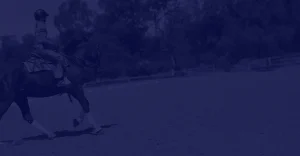A person rides a horse in an outdoor arena surrounded by trees and a fence, the image tinted dark blue—capturing the spirit of the 2023 challenge.