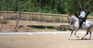 A person wearing a helmet and riding gear is taking on the 30 Days Challenge, riding a white horse in an outdoor arena surrounded by trees and a wooden fence in the background.