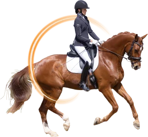 Dressage canter training to improve balance and straightness