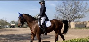 Strides Member Sara sits upright on a brown horse with a braided mane and blue ear covers, wearing a riding outfit and helmet in an outdoor arena with trees and buildings in the background.