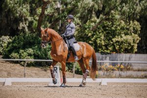 A rider wearing a helmet and equestrian gear is looking up and riding a chestnut horse in a dressage arena, showcasing focused dressage training, with trees and greenery in the background.