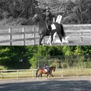 Split image: Top half in black and white shows a rider on a horse standing in an arena; bottom half in color shows a rider trotting a horse in the same arena, highlighting progress during the 30 Days challenge with trees and a fence in the background.