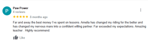 A Google review by Paw Power with 5 stars praises Amelia for excellent riding lessons, noting major improvements in both rider and horse in just 30 Days to Round. The reviewer highly recommends her as an amazing teacher.