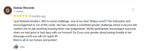 Google review by Denise Vincente praising Amelia’s 30 Days to Round challenge for horses, highlighting the supportive environment, helpful instruction, and encouraging community. Five-star rating shown at the top.