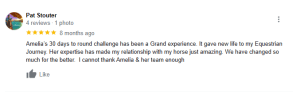 A Google review from Pat Stouter gives 5 stars and praises Amelia’s 30 Days to Round challenge for improving her equestrian journey and relationship with her horse, expressing gratitude for Amelia and her team.