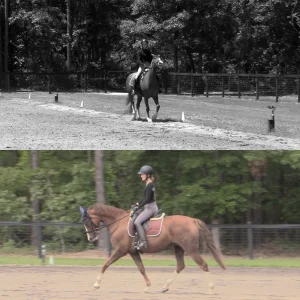 Split image showing a person riding a horse in an outdoor arena; the top half is black and white, and the bottom half is in color, highlighting progress inspired by the 30 Days to Round challenge, with trees and a fence in the background.