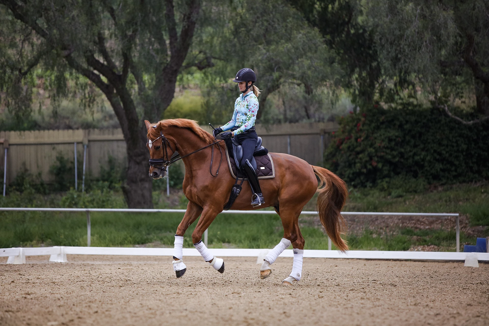 A person wearing a helmet, blue floral shirt, and gloves is riding a chestnut horse with white leg wraps in a sandy outdoor arena, taking on the 30 Days to Round challenge amid trees and a wooden fence.