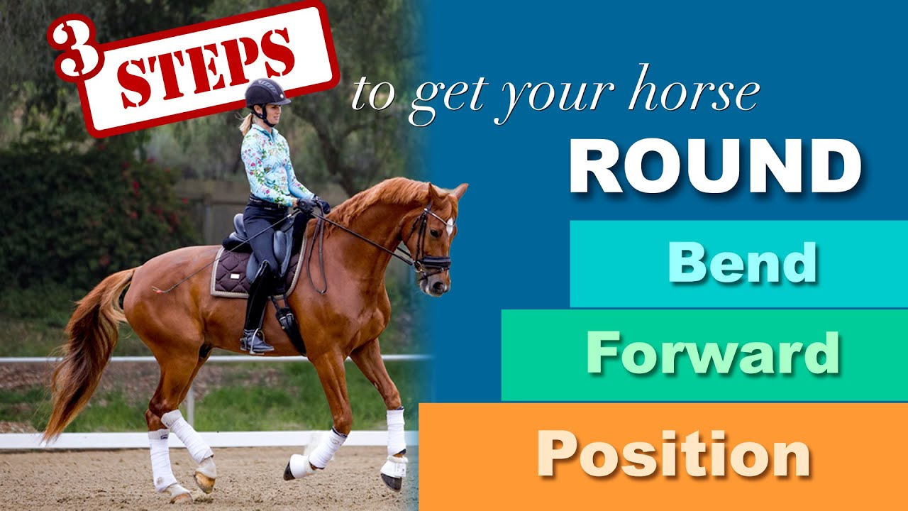 A person rides a chestnut horse in an arena. Text reads: Three steps to get your horse ROUND—Bend, Forward, Position—with each step highlighted in a colored box.