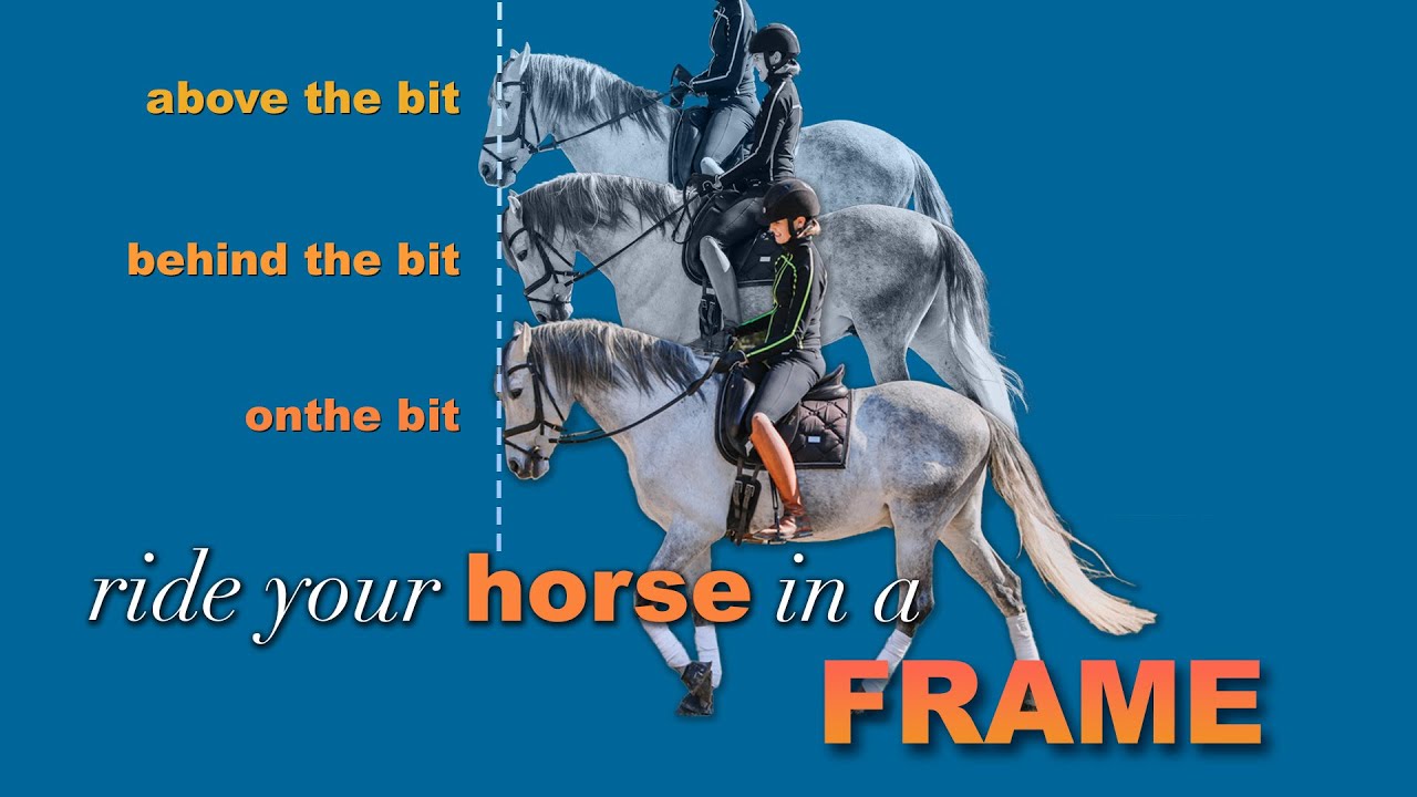Three riders on gray horses demonstrate riding posture: above the bit, behind the bit, and on the bit. Text says, ride your horse in a FRAME on a blue background—perfecting your horse frame for better horse riding.