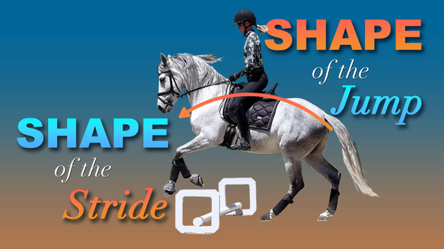 A rider on a white horse approaches a jump, with text reading SHAPE of the Stride, SHAPE of the Jump, and an orange arc showing how to improve jump quality against a blue gradient background.
