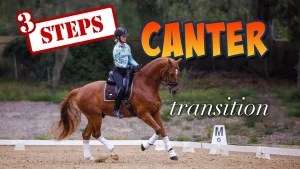 A rider in a helmet and colorful shirt canters a chestnut horse in an arena, demonstrating perfect canter transitions. Large text reads 3 Steps Canter transition. White arena letters and trees are visible in the background.