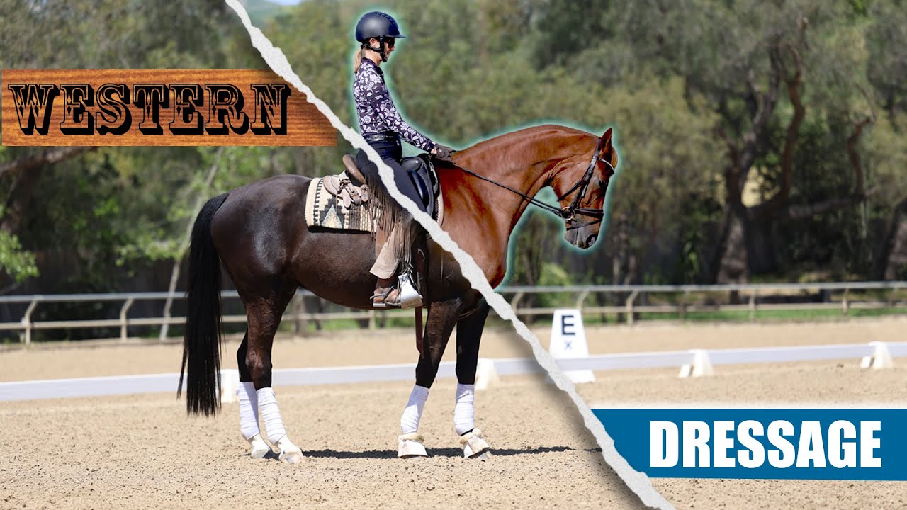 A split-image of a person riding a horse compares Western and Dressage styles: on the left, Western with a classic saddle; on the right, Dressage in an arena with an English saddle.