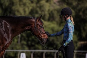 A person in a helmet and floral-patterned shirt gently holds the reins of a brown horse outdoors, practicing groundwork essentials with trees blurred in the background.