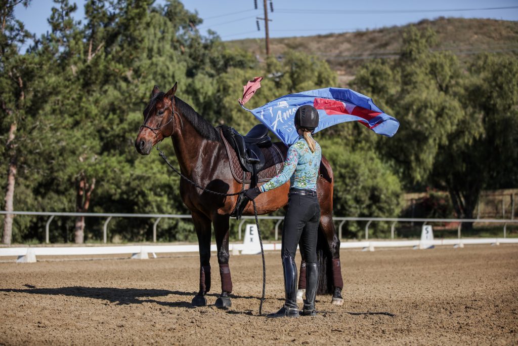 A person in riding gear stands beside a saddled horse in an outdoor arena, holding a blue and red flag—key tools for groundwork essentials. Trees and hills are visible in the background.