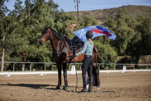 A person in riding gear stands beside a saddled horse in an outdoor arena, holding a blue and red flag—key tools for groundwork essentials. Trees and hills are visible in the background.