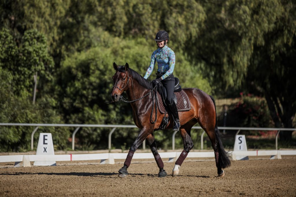 A rider in a patterned shirt and helmet is riding a brown horse in an outdoor arena, surrounded by trees. Groundwork Essentials are evident, with dressage markers labeled E, X, and S visible along the sandy track.