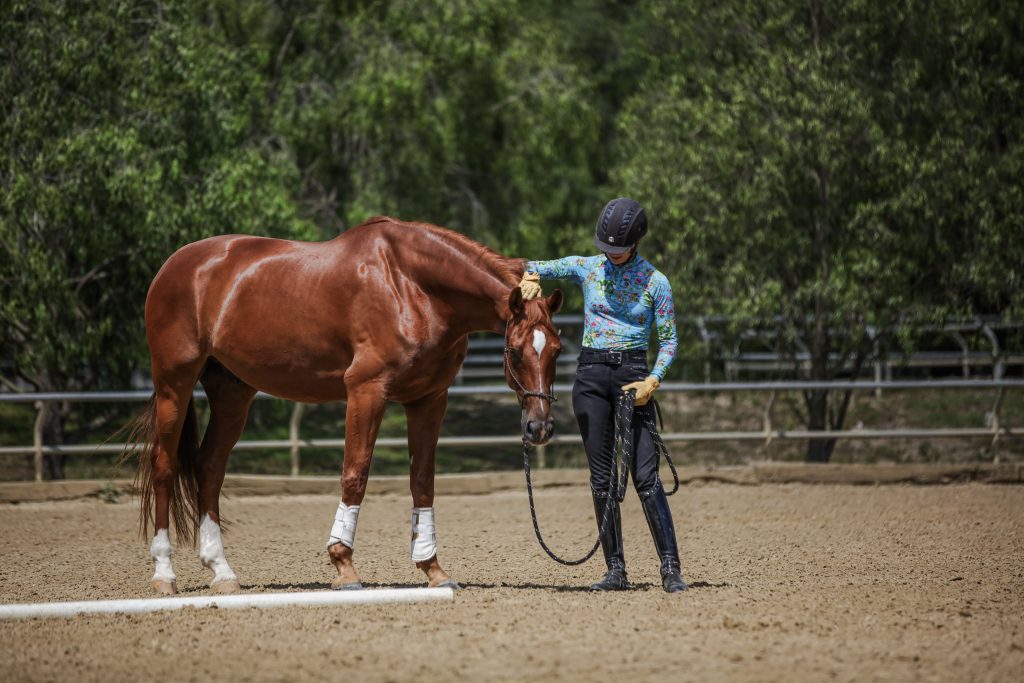 A person in a helmet and colorful shirt stands beside a chestnut horse, gently resting a hand on its poll, showcasing a pole release and Groundwork Essentials in a sandy outdoor arena with trees and a wooden fence in the background.