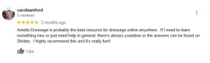 A Google review by carolsamford gives 5 stars, praising Amelia Dressage as a great resource for online dressage and recommending Strides Enrollment for learning and fun, with helpful YouTube videos and engaging Strides content.