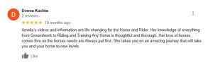 A five-star Google review by Donna Kuchta praises Amelia’s horse training videos for being thorough, thoughtful, and beneficial for both horse and rider, especially noting the invaluable Groundwork Essentials and Amelia’s deep knowledge and love of horses.
