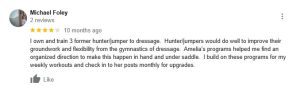 A Google review from Michael Foley with a 4-star rating. He describes training three former hunter/jumper horses in dressage and praises Amelia’s Essentials programs for improving organization, flexibility, and foundational groundwork.