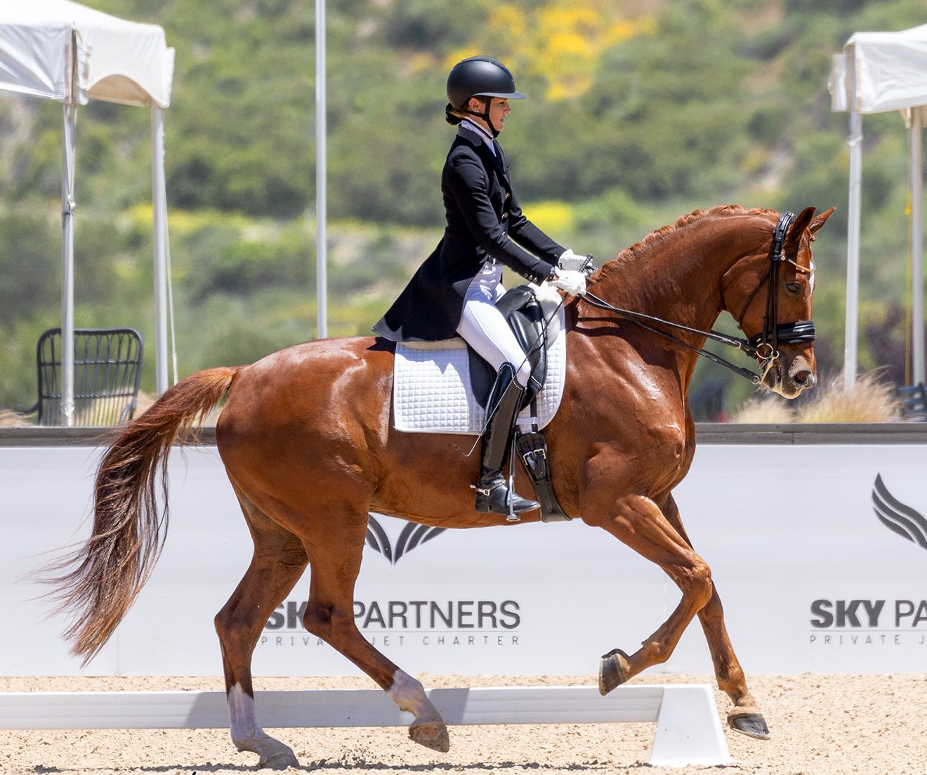 Amelia Newcomb riding her dressage horse Kensington.