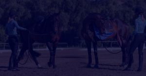 Two women wearing helmets stand next to their horses in an outdoor riding arena, each holding the reins and practicing Groundwork Essentials under sunny skies.