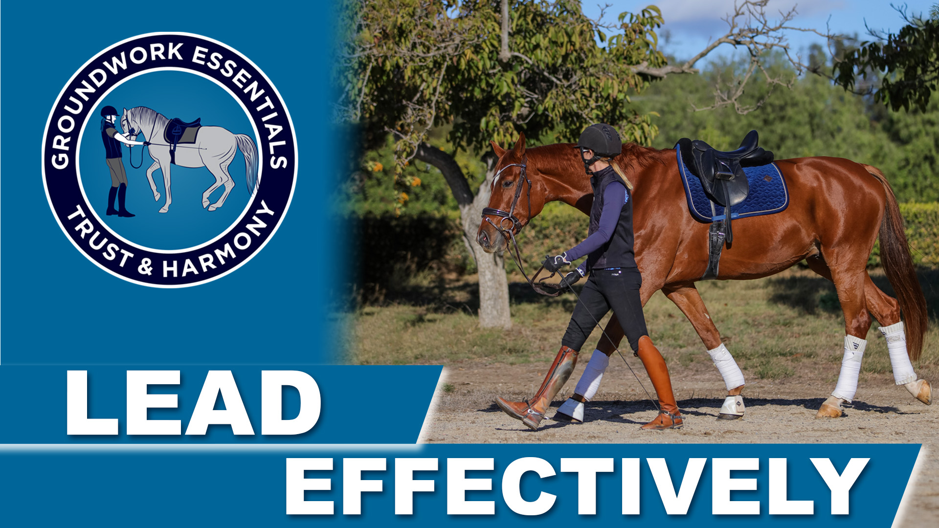 A person in riding gear leads a chestnut horse with a blue saddle outdoors, demonstrating natural horsemanship. On the left, a circular logo reads Groundwork Essentials Trust & Harmony. Bold text below says Lead Effectively.