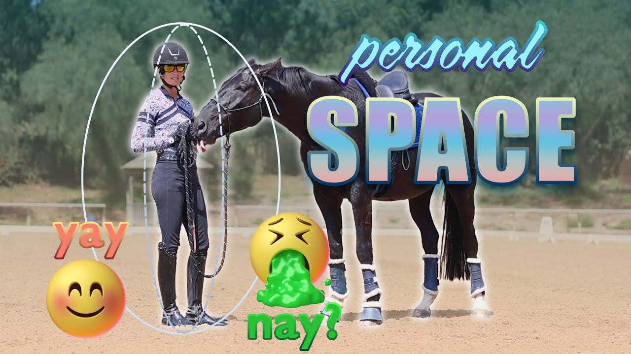 A person in equestrian gear stands next to a black horse on a sandy arena. Text reads personal SPACE BUBBLE, with emoji reactions: a happy face and “yay” inside an oval near the person, and a disgusted face with “nay!” near the horse.