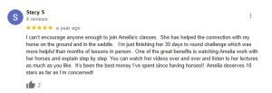 A Google review by Stacy S, rated 5 stars, praises Amelia’s horse training classes and videos, highlighting the Essentials and Groundwork taught as the best money spent and stating Amelia deserves 10 stars.