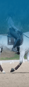 A person wearing a helmet and riding attire is riding a white horse that is performing intricate dressage figures in an outdoor arena.