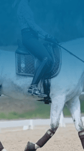 decorative online dressage training image showing horse and rider in an arena